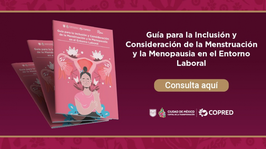 Guía para la Inclusión y Consideración de la Menstruación y la Menopausia en el Entorno Laboral
