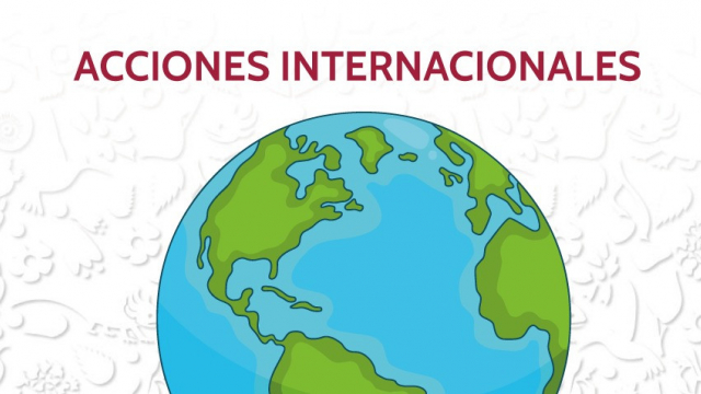 Acciones Internacionales